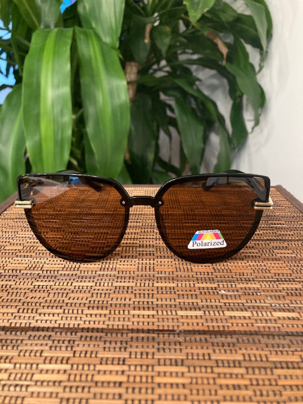 Polarized Cat Eye With Ornate Cutout Temple Sunglasses